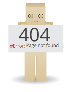 404 Error Page