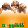 Doggible